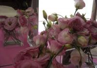 Maria Emilia Serrano