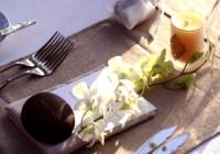 Sott Agência Criativa