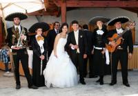 Los Mariachis