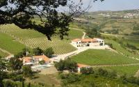 Quinta da Murta