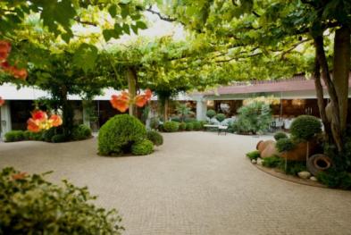 Quinta da Mota