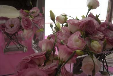 Maria Emilia Serrano