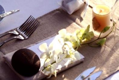 Sott Agência Criativa