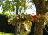Lameira Eventos