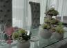 Lameira Eventos