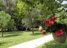 Lameira Eventos