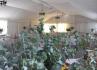 Hotel Rural Santo Antonio