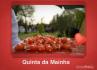 Quinta da Maínha