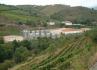 Quinta de São Domingos