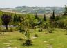 Quinta da Guimaroa