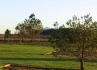 Quinta Nossa Senhora da Serra