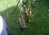Sonus Sax - João Santos