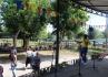 FestEventos