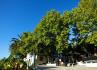 Quinta da Taipa